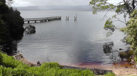 Gordon River Cruise Departing From Strahan - Accommodation Sunshine Coast 22