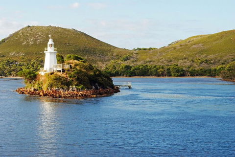 Gordon River Cruise Departing From Strahan - Accommodation Sunshine Coast 25