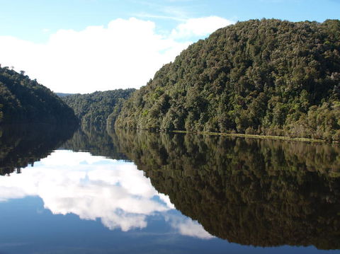 Gordon River Cruise Departing From Strahan - Accommodation Sunshine Coast 16