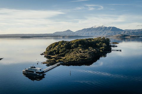 Gordon River Cruise Departing From Strahan - Accommodation Sunshine Coast 28