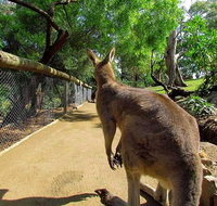 Wilderness and Wildlife - Accommodation Sunshine Coast