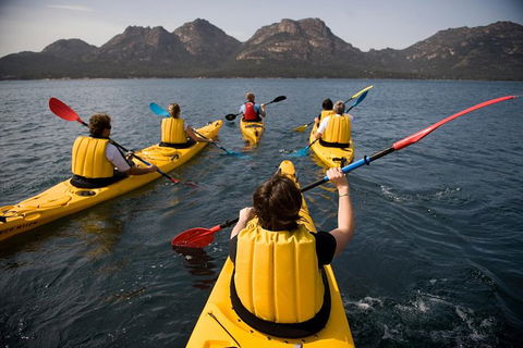 The Freycinet Paddle - Accommodation Sunshine Coast 5