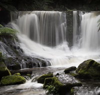 Mt Field National Park premium private photo-oriented day tour from Hobart - Accommodation Sunshine Coast