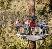 Hollybank Wilderness Adventure - Zipline Tours - Accommodation Sunshine Coast