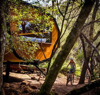 Blue Derby Pods Ride Experience 3-Day Mountain Bike Adventure in Exclusive Pods - Accommodation Sunshine Coast