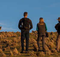 Small Group Tasmanias Wilderness And Wildlife Day Tour - Accommodation Sunshine Coast
