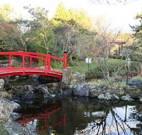 Small-group tour from Hobart Native Flora and Fauna incl. Royal Bot. Gardens - Accommodation Sunshine Coast