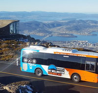 Kunany / Mt Wellington Explorer Bus - 2 Hour Return Tour - Accommodation Sunshine Coast