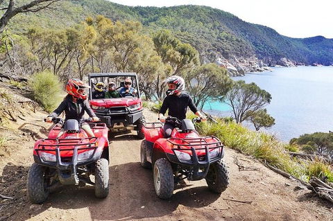 Quad Bike 2-Hour Adventure: Freycinet National Park - Accommodation Sunshine Coast 2
