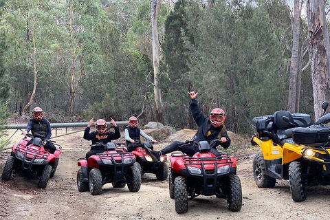 Quad Bike 2-Hour Adventure: Freycinet National Park - Accommodation Sunshine Coast 4
