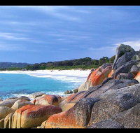 Bay of Fires Day Trip from Launceston - Accommodation Sunshine Coast