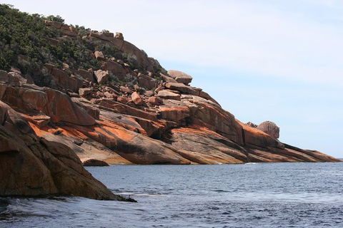 Wineglass Bay Cruise From Coles Bay - Accommodation Sunshine Coast 7