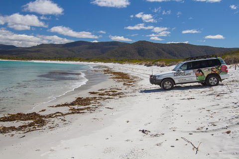 4X4 And Lunch Half Day Bicheno Coastal Mountain - Accommodation Sunshine Coast 0