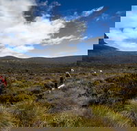6-Day Overland Track PhotoTour - Accommodation Sunshine Coast