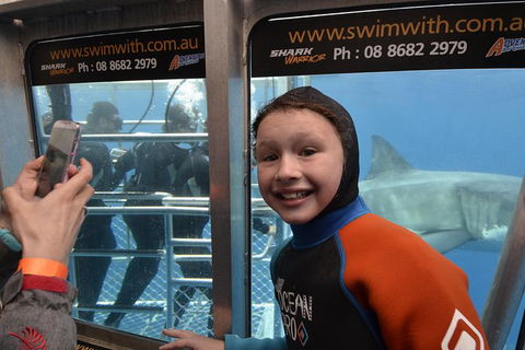 White Shark Tour With Optional Cage Dive From Port Lincoln - Accommodation Sunshine Coast 8