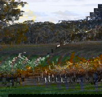 Barossa Valley with Hahndorf Tour from Adelaide - Accommodation Sunshine Coast