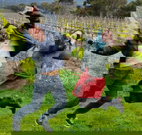 Mclaren Vale Luxury Full Day Small Group Wine Tour - Accommodation Sunshine Coast