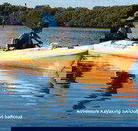 Adelaide Dolphin Sanctuary and Ships Graveyard Kayak Tour - Accommodation Sunshine Coast
