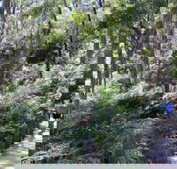 Self-Guided Waterfall Gully to Mount Lofty Hike from Adelaide - Accommodation Sunshine Coast