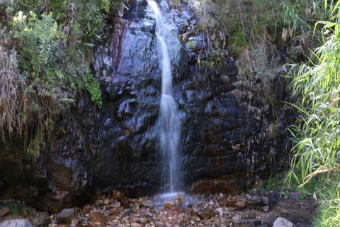 Self-Guided Waterfall Gully To Mount Lofty Hike From Adelaide - Accommodation Sunshine Coast 2