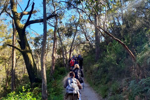 Self-Guided Waterfall Gully To Mount Lofty Hike From Adelaide - Accommodation Sunshine Coast 7