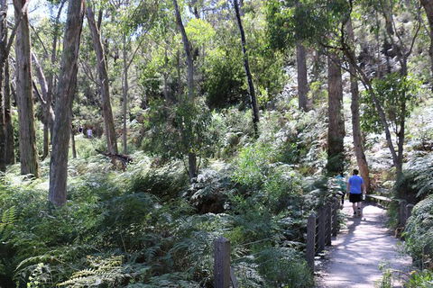 Self-Guided Waterfall Gully To Mount Lofty Hike From Adelaide - Accommodation Sunshine Coast 3