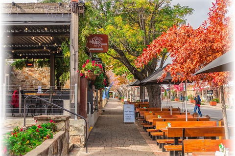 Barossa Valley Via Hahndorf ( Historical German Village ) Inc Maggie Beers Farm - Accommodation Sunshine Coast 6