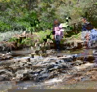 Small Group Bush Walk  BBQ with Wine Day Trip from Adelaide - Accommodation Sunshine Coast