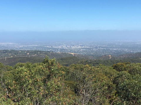 Adelaide Hills And Hahndorf Tour From Adelaide With Wine And Cheese Tasting - Accommodation Sunshine Coast 8