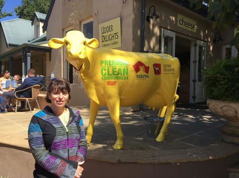 Adelaide Hills And Hahndorf Tour From Adelaide With Wine And Cheese Tasting - Accommodation Sunshine Coast 2