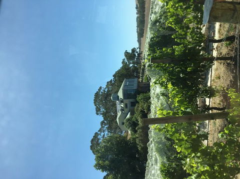 Adelaide Hills And Hahndorf Tour From Adelaide With Wine And Cheese Tasting - Accommodation Sunshine Coast 7