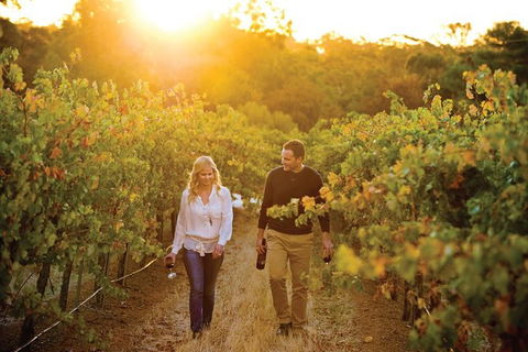 Barossa Valley Highlights From Adelaide Including Wine And Cheese Tasting - Accommodation Sunshine Coast 11