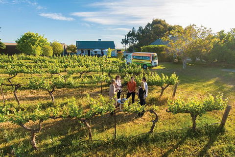 Barossa Valley Highlights From Adelaide Including Wine And Cheese Tasting - Accommodation Sunshine Coast 14