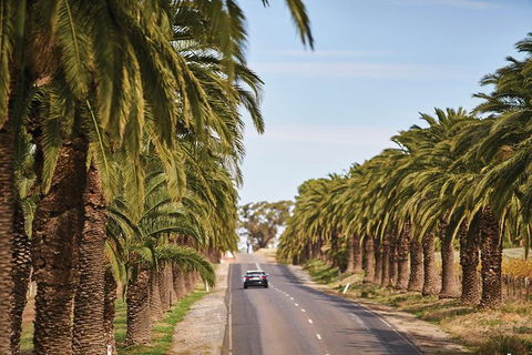 Barossa Valley Highlights From Adelaide Including Wine And Cheese Tasting - Accommodation Sunshine Coast 3