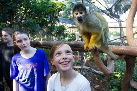 Adelaide Zoo Behind The Scenes Experience: Squirrel Monkey Feeding - Accommodation Sunshine Coast 1