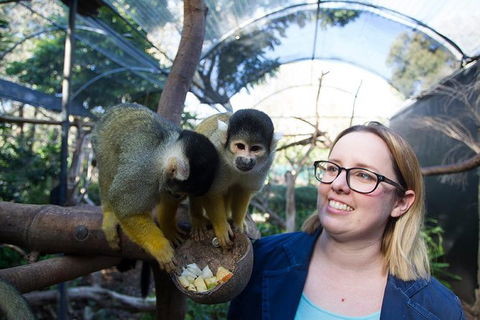 Adelaide Zoo Behind The Scenes Experience: Squirrel Monkey Feeding - Accommodation Sunshine Coast 0