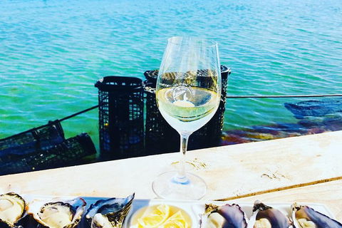 Coffin Bay Oyster Farm & Tasting Tour - Accommodation Sunshine Coast 11