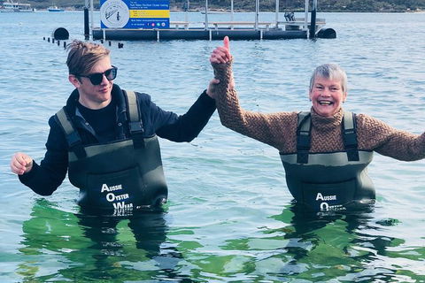 Coffin Bay Oyster Farm & Tasting Tour - Accommodation Sunshine Coast 12