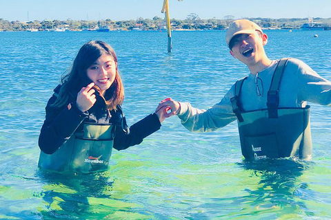 Coffin Bay Oyster Farm & Tasting Tour - Accommodation Sunshine Coast 4