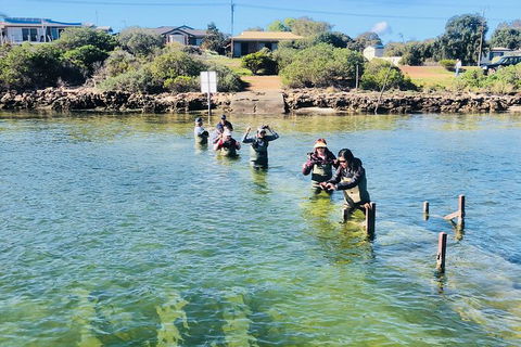 Coffin Bay Oyster Farm & Tasting Tour - Accommodation Sunshine Coast 6