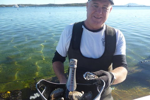 Coffin Bay Oyster Farm & Tasting Tour - Accommodation Sunshine Coast 2