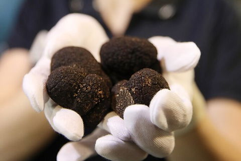 Adelaide Central Market Exclusive Tour - Accommodation Sunshine Coast 9