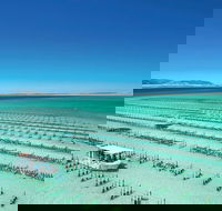Coffin Bay Day Tour - A Taste of Coffin Bay - Accommodation Sunshine Coast