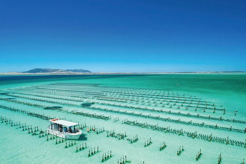Coffin Bay Day Tour - A Taste Of Coffin Bay - Accommodation Sunshine Coast 0