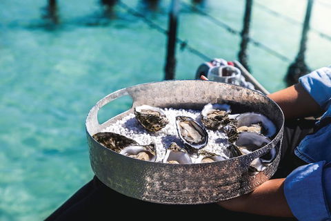 Coffin Bay Day Tour - A Taste Of Coffin Bay - Accommodation Sunshine Coast 8