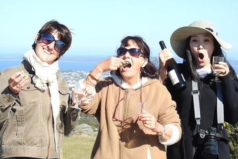 Coffin Bay Day Tour - A Taste Of Coffin Bay - Accommodation Sunshine Coast 7