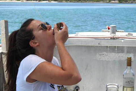 Coffin Bay Day Tour - A Taste Of Coffin Bay - Accommodation Sunshine Coast 15