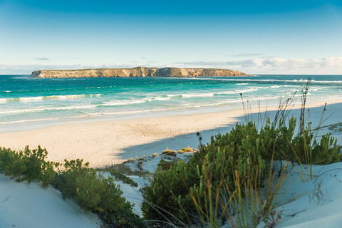 Coffin Bay Day Tour - A Taste Of Coffin Bay - Accommodation Sunshine Coast 13