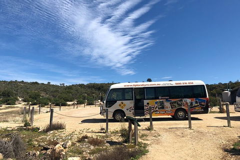 Coffin Bay Day Tour - A Taste Of Coffin Bay - Accommodation Sunshine Coast 4