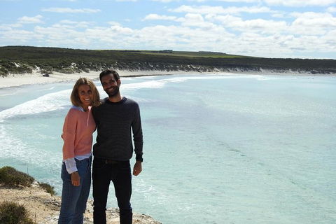 Coffin Bay Day Tour - A Taste Of Coffin Bay - Accommodation Sunshine Coast 14